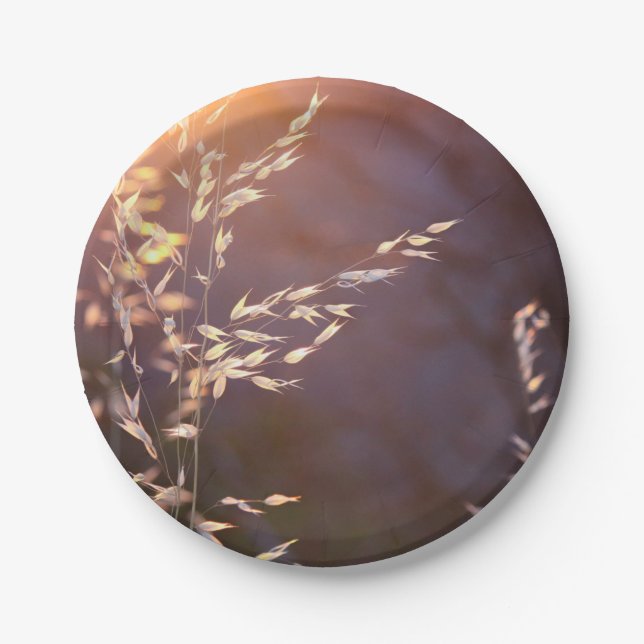 Plato De Papel trigo por la mañana (Anverso)