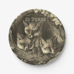 Plato De Papel Triplets vintage baby fox woodland ducha
