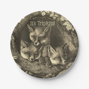 Plato De Papel Triplets vintage baby fox woodland ducha