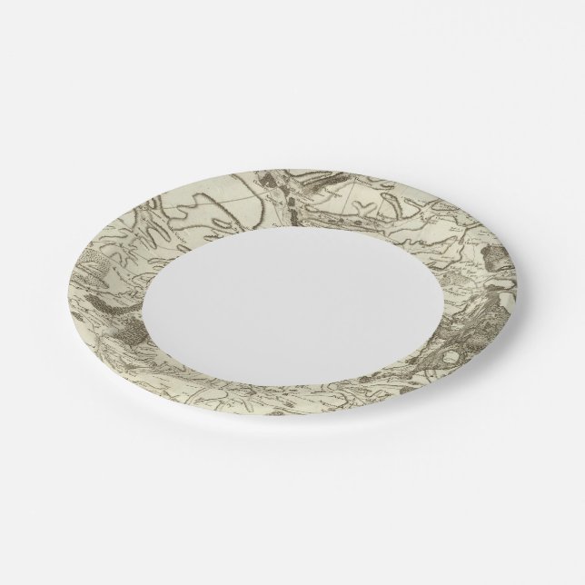 Plato De Papel Troyes (Angular)