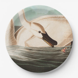 Plato De Papel Trumpeter Swan y Mariposa