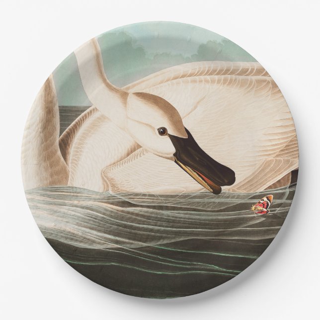 Plato De Papel Trumpeter Swan y Mariposa (Anverso)