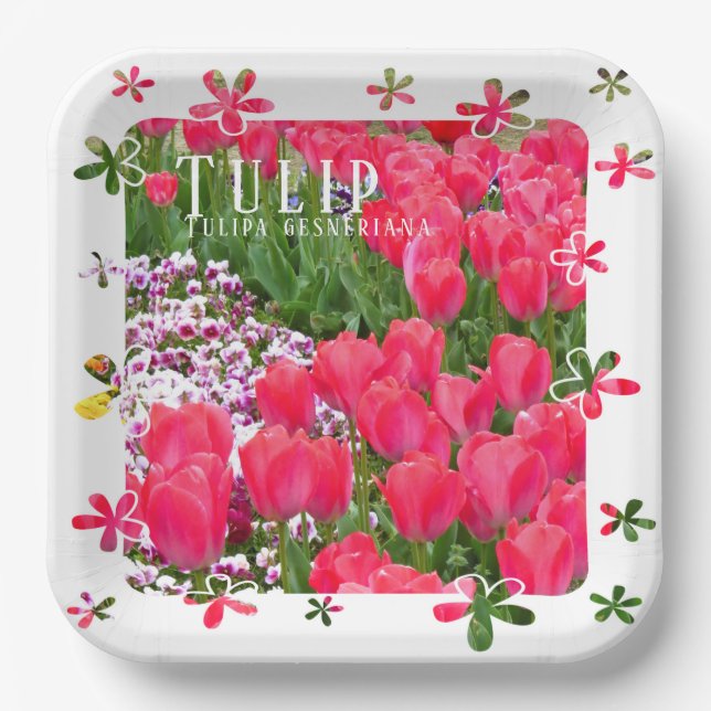 Plato De Papel Tulip (Anverso)