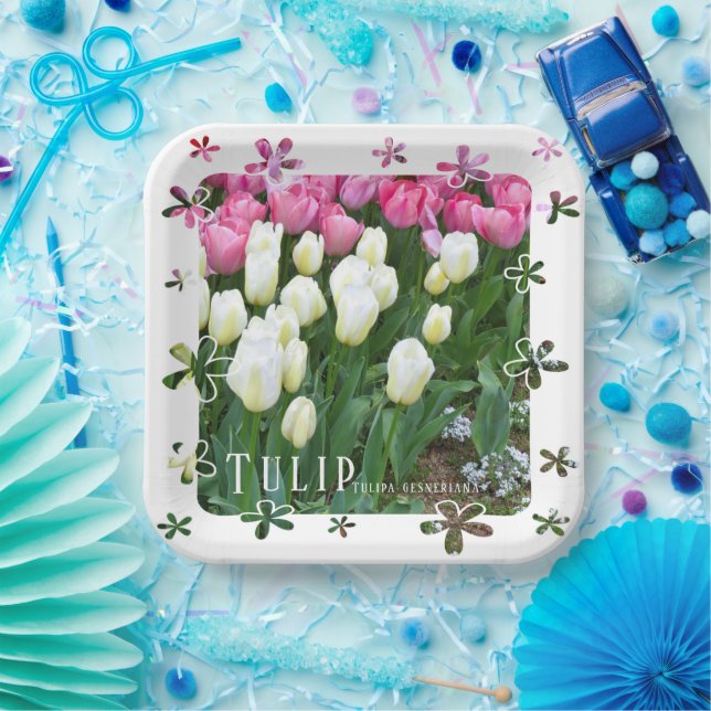 Plato De Papel Tulip (Fiesta)