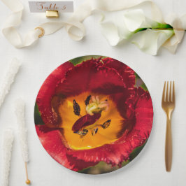 Plato De Papel Tulip rojo