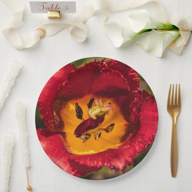 Plato De Papel Tulip rojo (Boda)