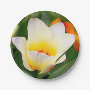 Plato De Papel Tulipán Blanco