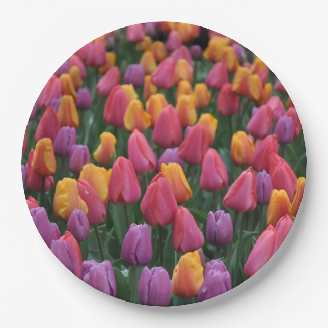 Plato De Papel Tulipanes de primavera coloridos (Anverso)