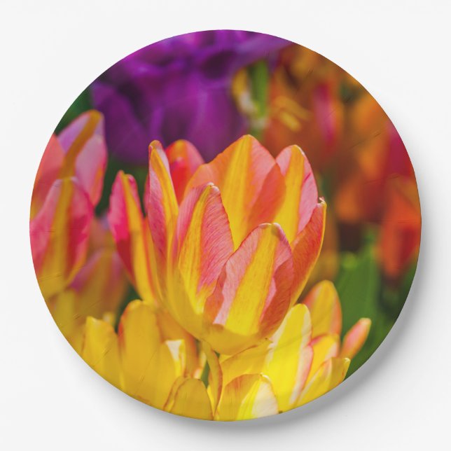 Plato De Papel Tulipanes encantadores 16 (Anverso)