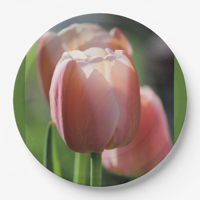 Plato De Papel Tulipanes rosados (Anverso)