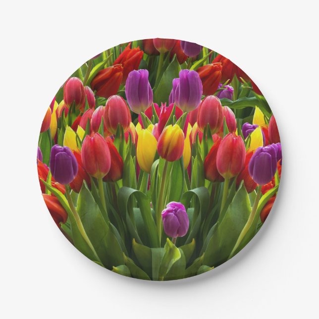 Plato De Papel Tulips brillante (Anverso)