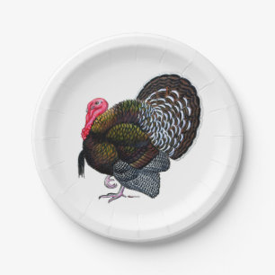 Plato De Papel Turquía: Bronce Tom