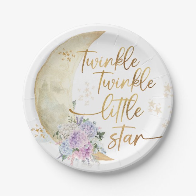 Plato De Papel Twinkle Twinkle Little Star Baby Shower (Anverso)