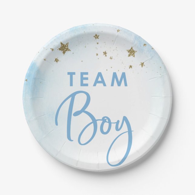 Plato De Papel Twinkle Twinkle Team Boy Género Revelar Placas (Anverso)