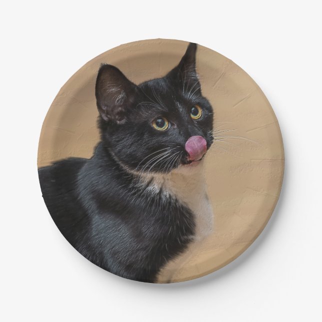 Plato De Papel Un buen Lick Painterly (Anverso)