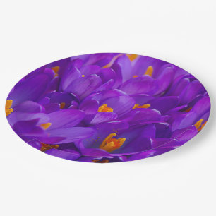 Plato De Papel Un campo de cruces moradas