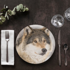 Plato De Papel Un chico adorable del lobo de cumpleaños