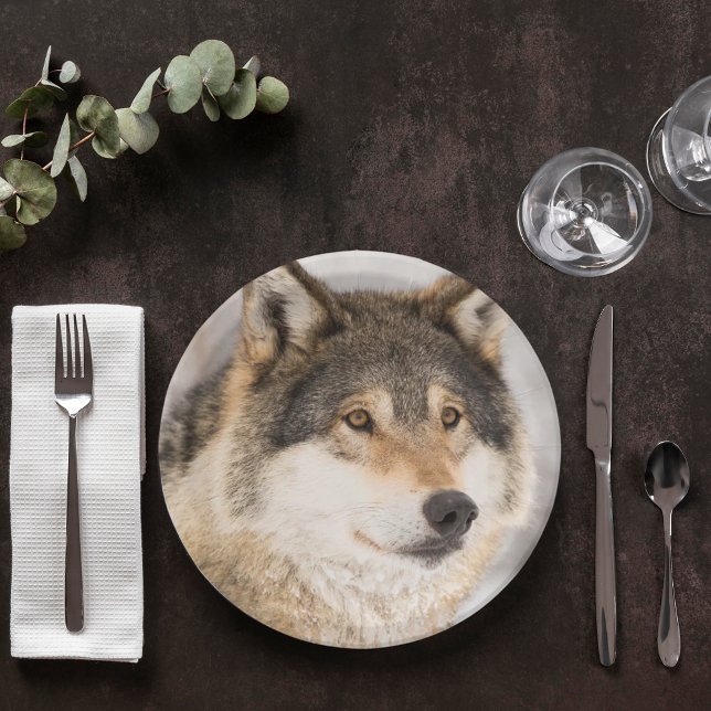 Plato De Papel Un chico adorable del lobo de cumpleaños (Subido por el creador)