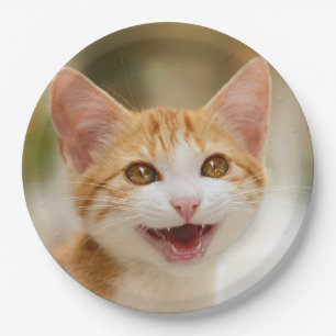 Plato De Papel Un gatito sonriente lindo, se enfrenta a una diver