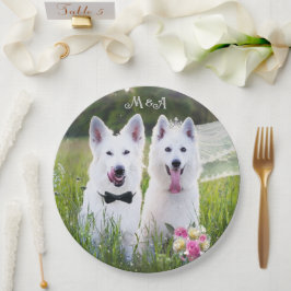 Plato De Papel Un par romántico de perros casados