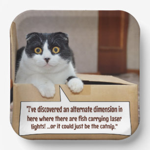 Plato De Papel Una dimensión alternativa