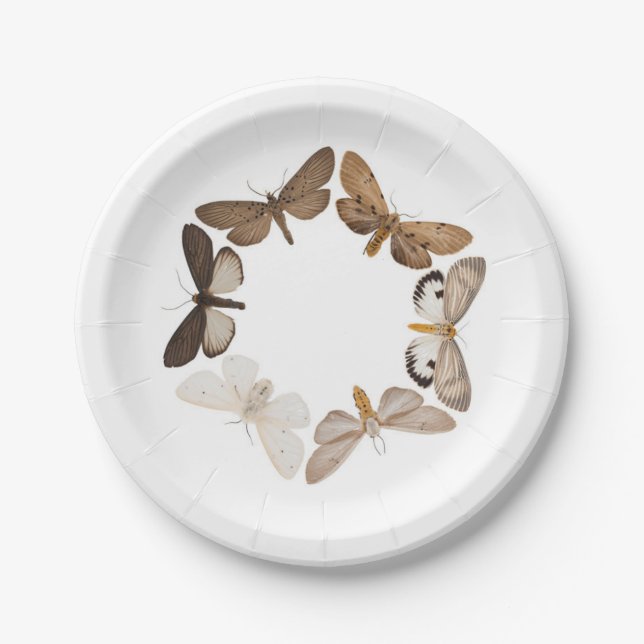 Plato De Papel Una placa de la polilla (Anverso)