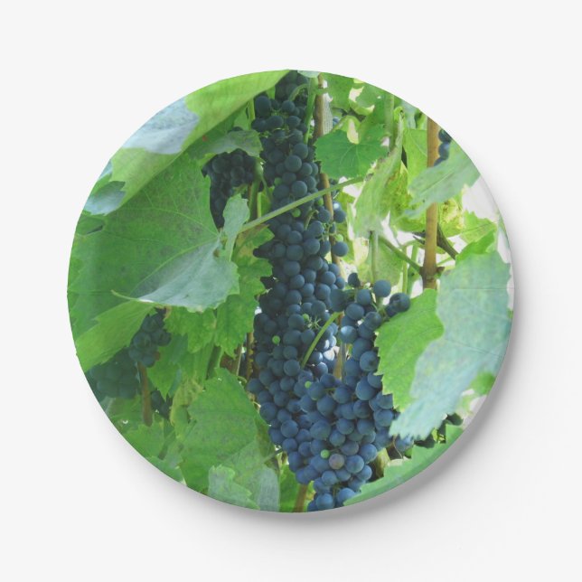 Plato De Papel Uvas azules (Anverso)