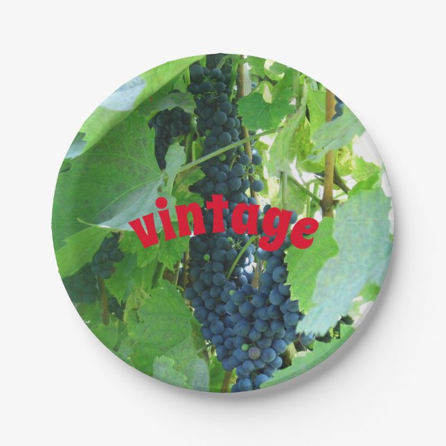 Plato De Papel Uvas azules de época  (Anverso)