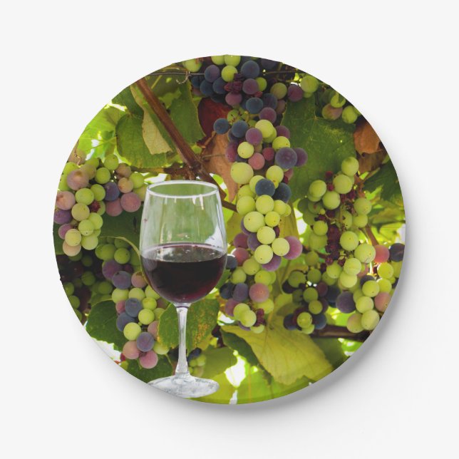Plato De Papel Uvas púrpuras cultivando en el vino con el vidrio (Anverso)