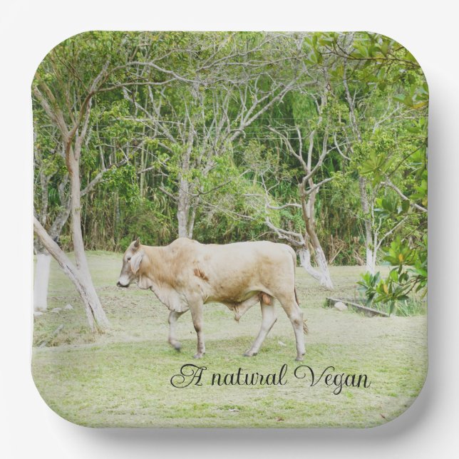Plato De Papel Vegan Cow Natural (Anverso)