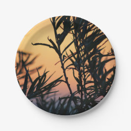 Plato De Papel Vegetación al atardecer