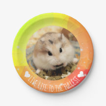 Vida al máximo - Hammyville Hamsters