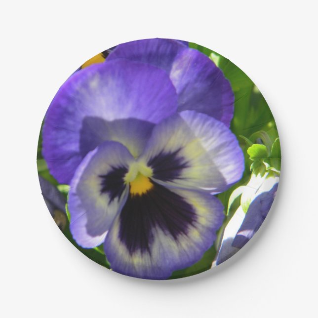 Plato De Papel Vida de Pansies (Anverso)