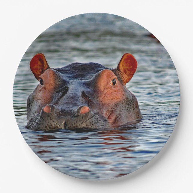 Plato De Papel Vida silvestre Hippo Water Photo (Anverso)
