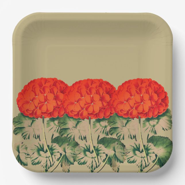 Plato De Papel Viejo Geranium Trio - floral audaz (Anverso)