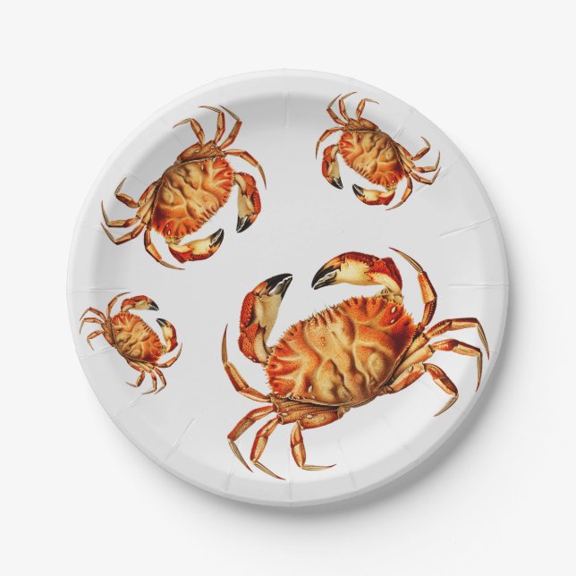 Plato De Papel Vintage Dungeness Crab Ilustracion     (Anverso)