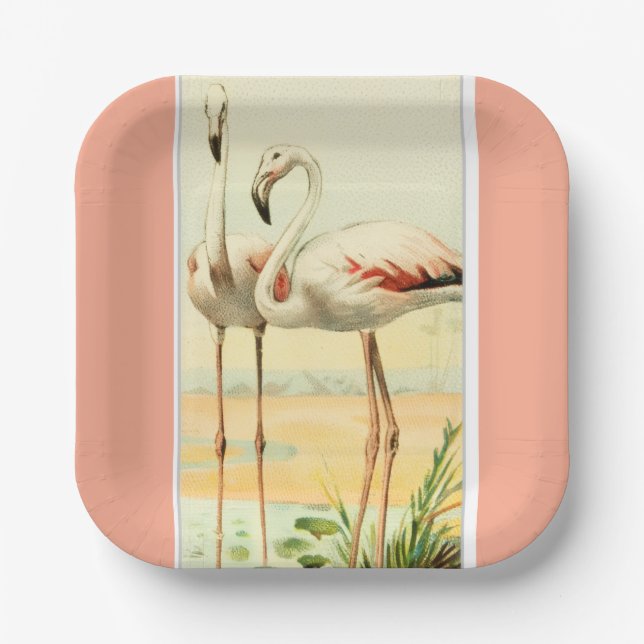 Plato De Papel Vintage Flamingo (Anverso)