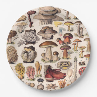 Plato De Papel Vintage Mushrooms Illustration By Adolphe Millot