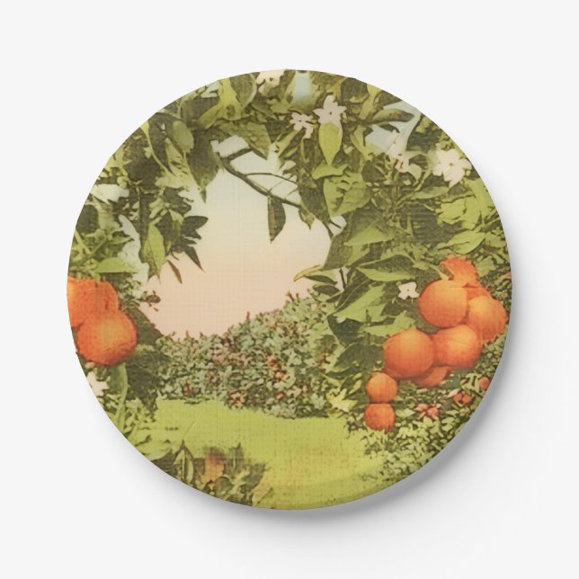 Plato De Papel Vintage Orange Grove (Anverso)