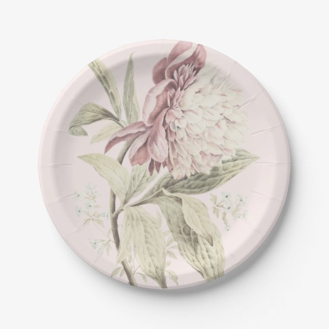 Plato De Papel Vintage Peony Botanica (Anverso)