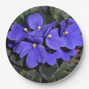 Plato De Papel Violeta africana del azul real