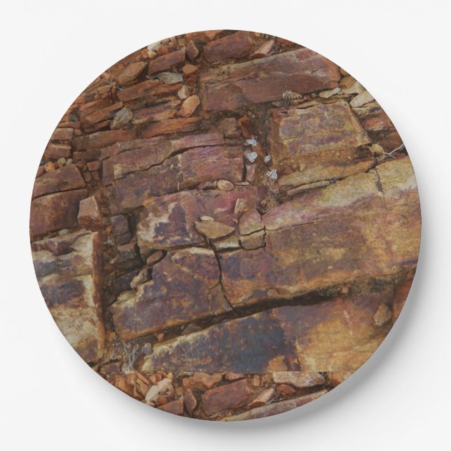 Plato De Papel Vista rocosa (Anverso)