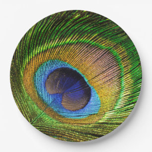 Plato De Papel Vivid Feather