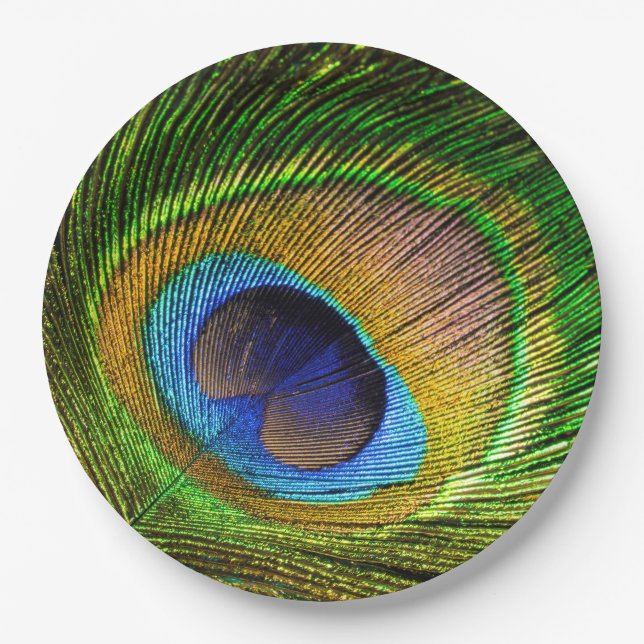 Plato De Papel Vivid Feather (Anverso)