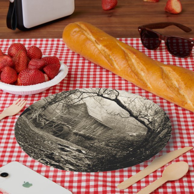 Plato De Papel Volante de agua de cosecha (Picnic)