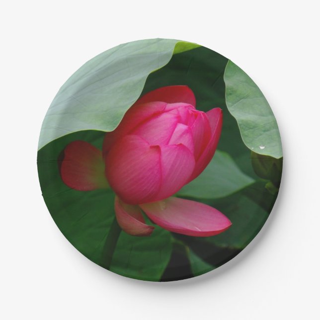 Plato De Papel Water Lily Deep Rosa (Anverso)