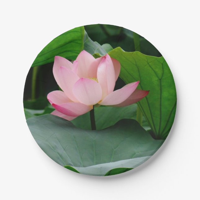 Plato De Papel Water Lily Pink (Anverso)
