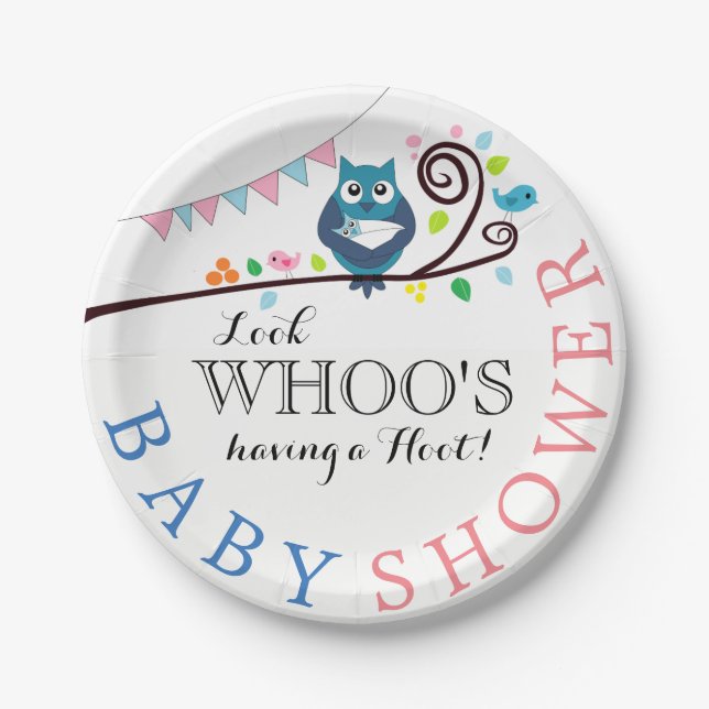 Plato De Papel Whimsical Owl Baby Shower (Anverso)