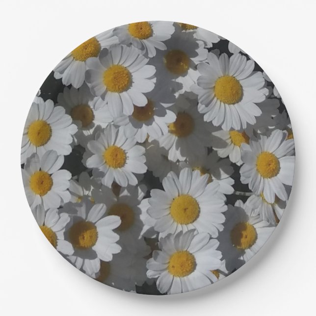 Plato De Papel White Daisies (Anverso)