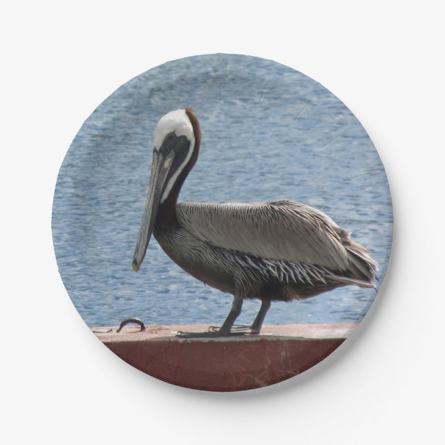 Plato De Papel Wildlife Brown Pelican Water Photo (Anverso)